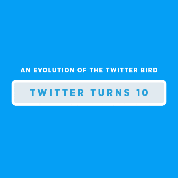 twitterbirdevolution